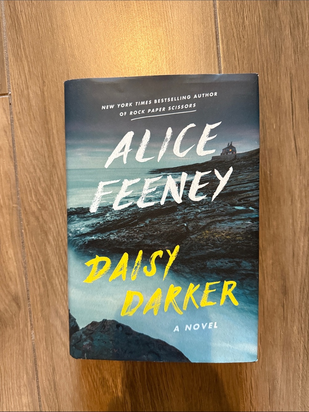 Alice Feeney "Daisy Darker" Hardcover - Blue & Yellow Cover